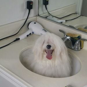 Meet your Posher, Natalie